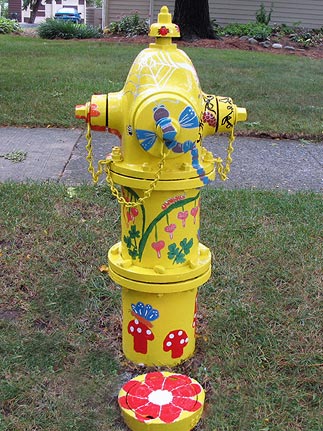 131 S Summit - Dragonfly and Friends